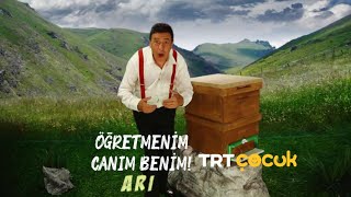 Öğretmenim Canım Benim 4. Bölüm - Arı Full Fhd Trt Çocuk
