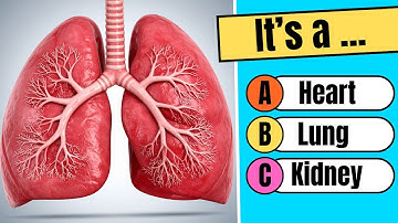 Human Body Quiz | General Knowledge Quiz | Fun Facts & Brain Challenge!