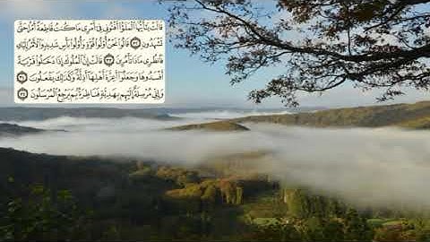 379-page سعد الغامدي - -سورة النملAN-NAML / LES FOURMIS -27