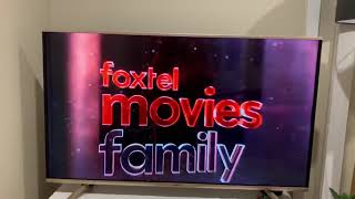 The Call Of The Wild Foxtel Movies Family Intro