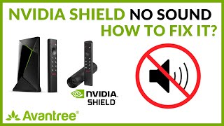 Nvidia Shield TV No Sound - How to FIX?