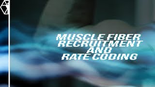 Nervous System Training | Rate Coding and Muscle Fiber Recruitment