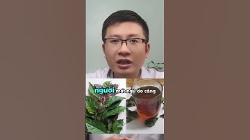 Mất Ngủ Lâu Năm Hãy Thêm Lá Này Mỗi Tối Ngủ Sâu Tự Nhiên | Cao Minh Trường