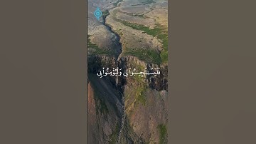 🌿 ﴿ وإذا سألك عبادي عني ﴾   تلاوة تُلامس القلب بصوت فارس عباد 🌿 #قران_كريم #اكسبلور