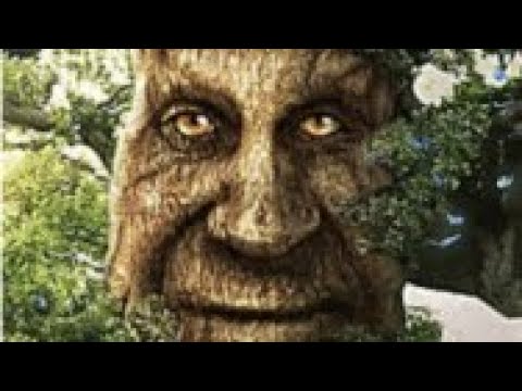 WISE TREE spatnz viewers also watch this channel The Wise Mystical Tree Is  NOT From A Game Lessons in Meme Culture views - 38 minutes - iFunny Brazil