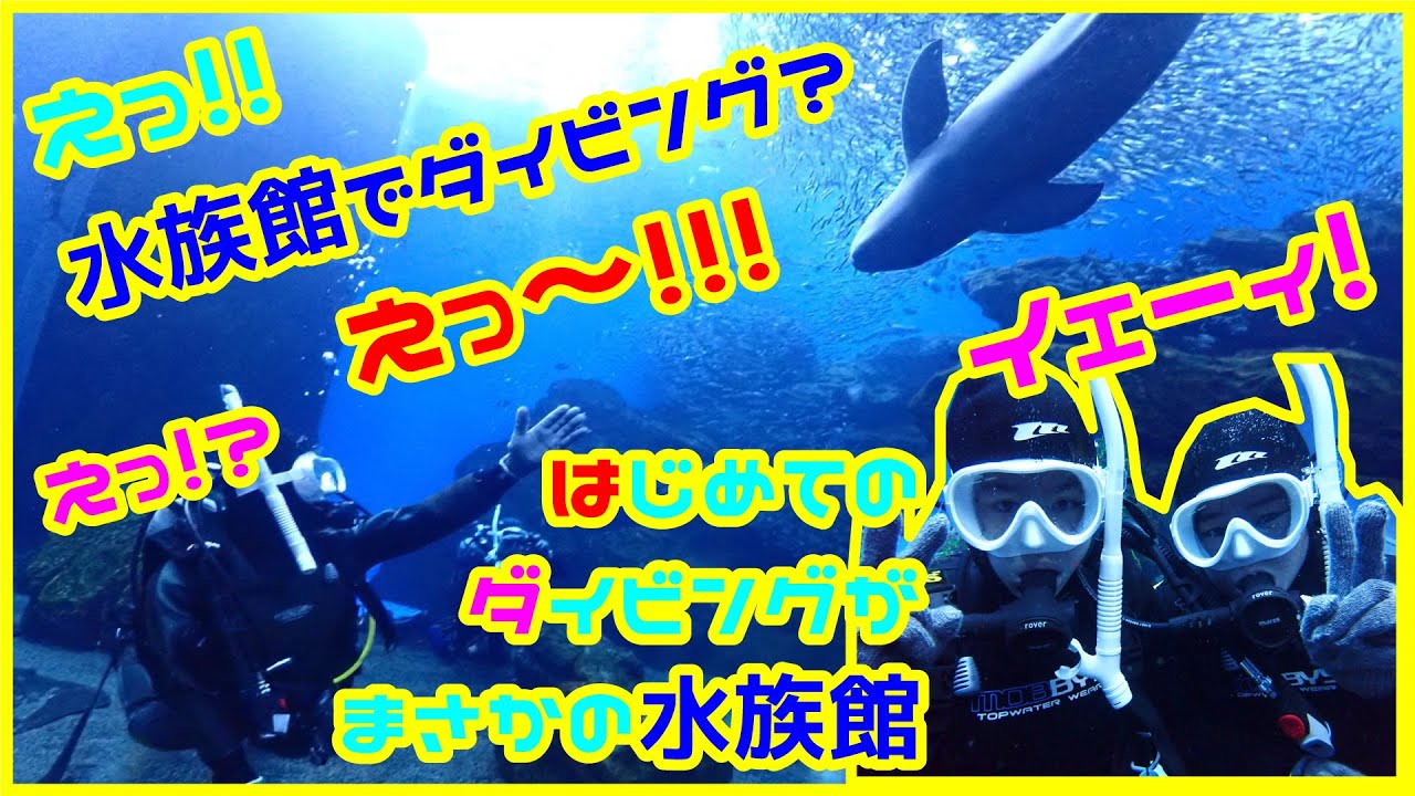 【仙台うみの杜水族館】ダイビング体験　～うみの杜ダイビング～
