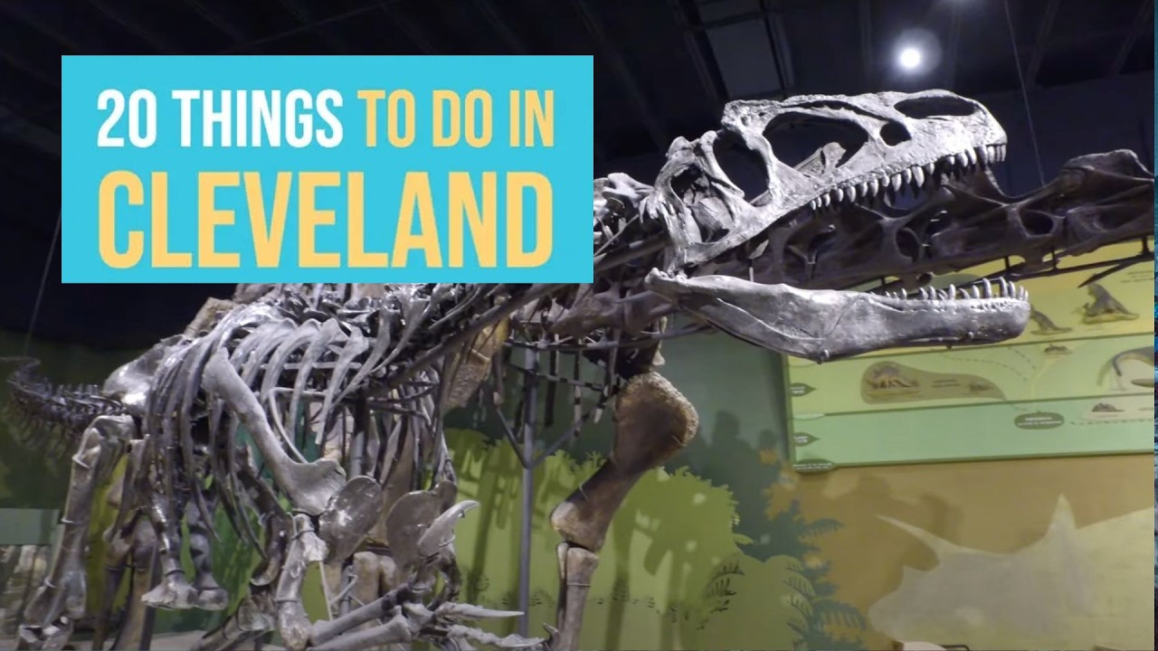 Cleveland Monsters  Things to Do in Cleveland OH