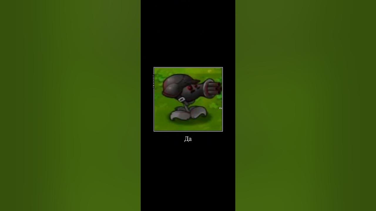 Скажи мамой клянусь! #мем #memes #pvz #орех #горохострелсолдат #мемы # ...