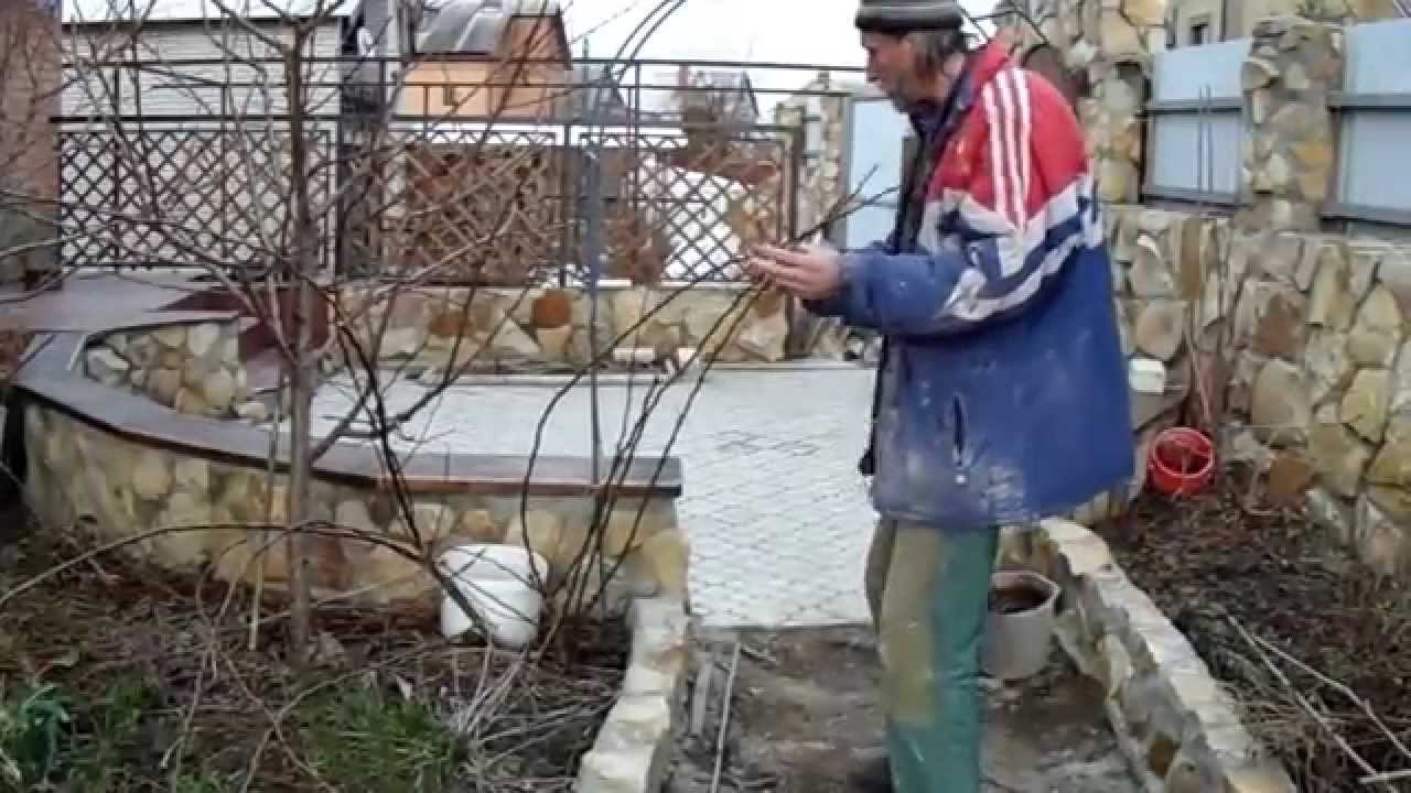 Как подвязать плетистые розы Весна