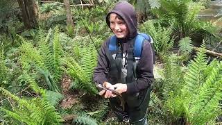 Rainforest Creek by Noojee Bushgoods No views 9 minutes, 34 seconds