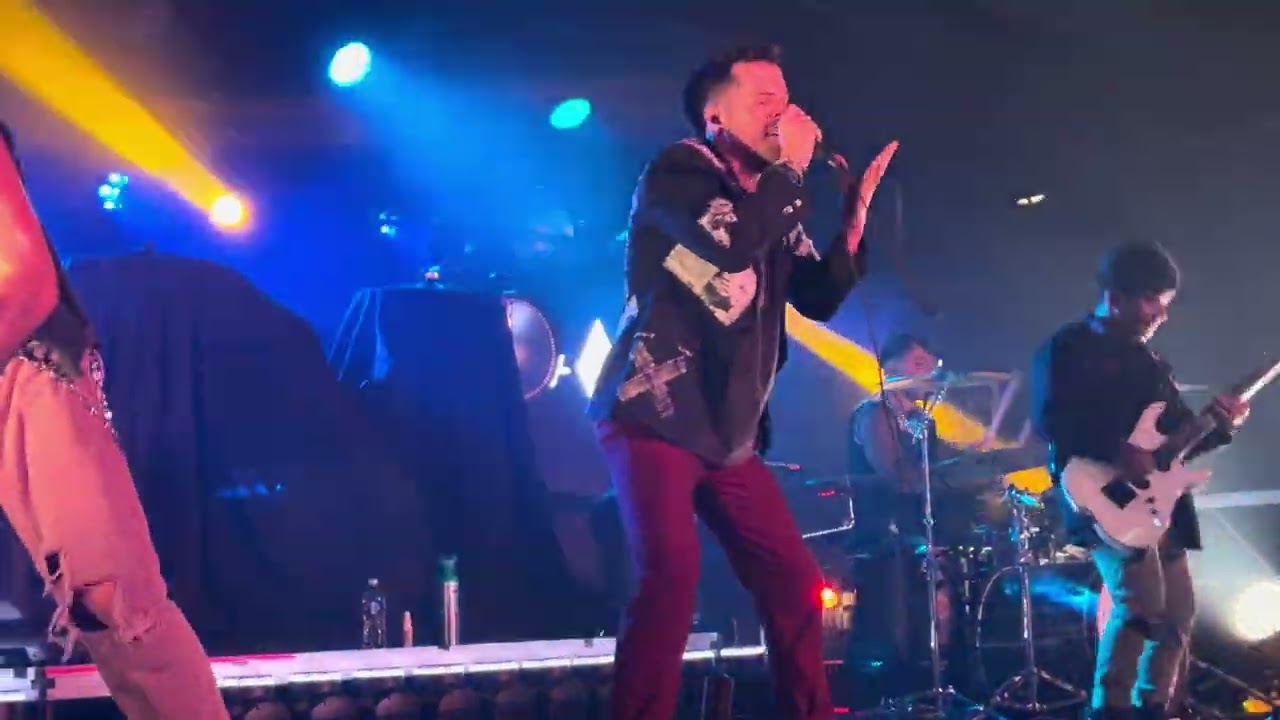 Stray View - Vivid live in Grand Rapids 6/17/25