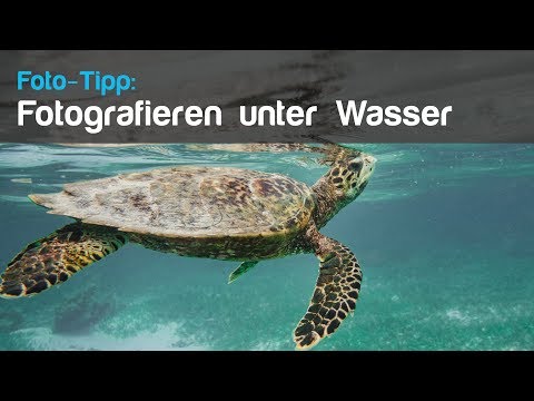 Video: Auf Und Unter Wasser - Alternative Ansicht