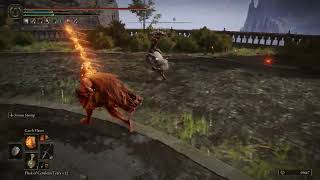 Elden Ring PvP: Absolute Maidenless behavior.