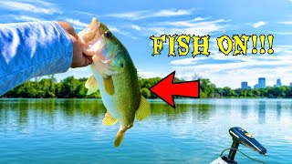 SUMMER TIME FISHING IN STAINED WATER FOR BASS | BEST WORM COLOR TO USE