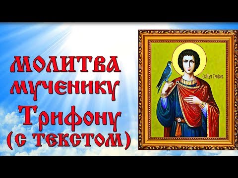 Молитва святому мученику Трифону (аудио молитва с текстом и иконами)