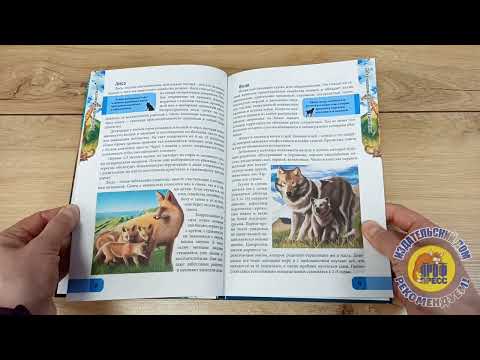 ЭНЦИКЛОПЕДИЯ. В МИРЕ ЗНАНИЙ. ДЕТЁНЫШИ ЖИВОТНЫХ ЭНЦИКЛОПЕДИЯ. В МИРЕ ЗНАНИЙ. ДЕТЁНЫШИ ЖИВОТНЫХ