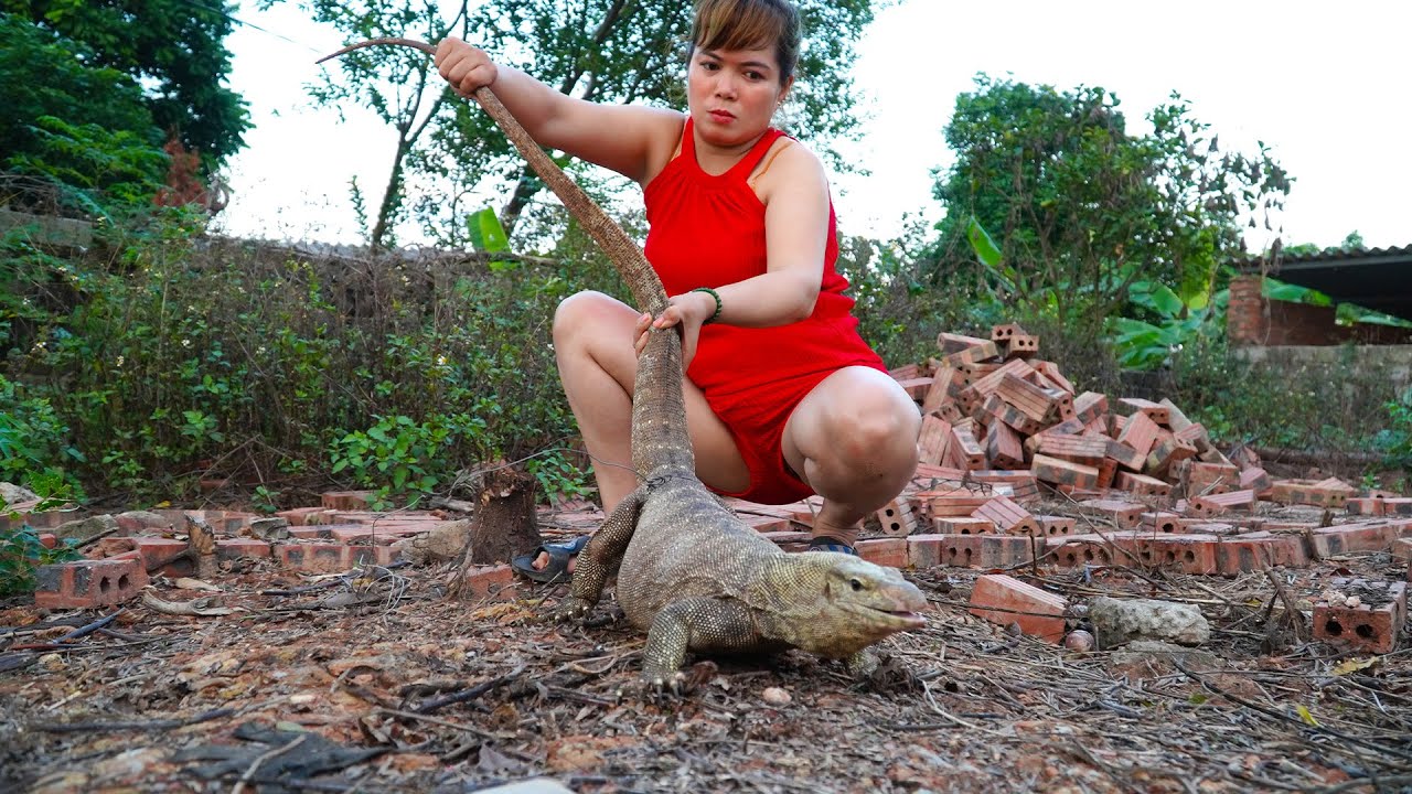 SHOCKING : The daughter discovered a Komodo dragon around her house.