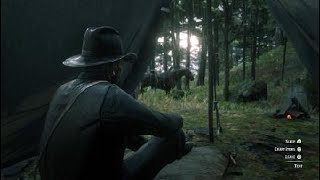 Red Dead Redemption 2 gameplay no commentary - #11