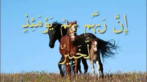 تعليم القرٱن الكريم للأطفال - سورة العاديات