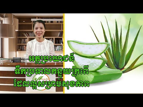 ចំណេះដឹងសម្រាប់សុខភាព | អត្ថប្រយោជន៍ទឹកប្រទាលកន្ទុយក្រពើ| Benefits of Aloe Vera Juice