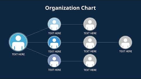 Organizational Chart Animation Presentation