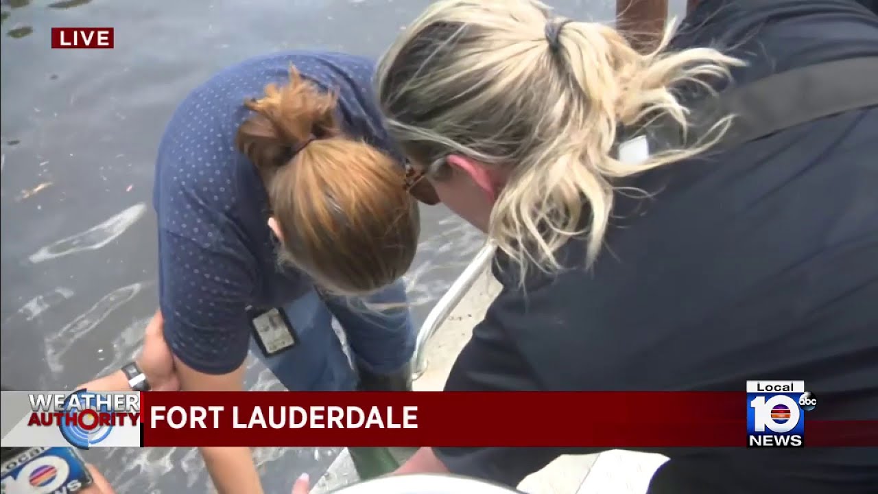 ⁣Crews rescuing residents from Fort Lauderdale flood waters