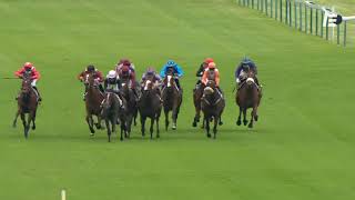 Vidéo de la course PMU PRIX DE FRANCIERES