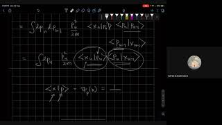 QM III L19V5: From the Schrödinger Equation to the Path Integral