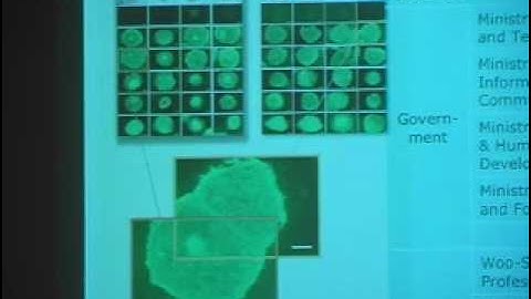 Fraud, Fabrication and Plagiarism