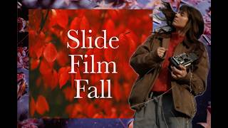 Chasing Fall Colors on Slide Film: Mamiya C3 &amp; Leica MP