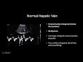 Doppler Ultrasound Part 2 - Spectral Waveforms from Head to Toe (Normal and Abnormal)