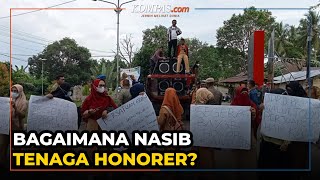 Tenaga Honorer Dihapus mulai 2023, Bagaimana Nasib Pegawai?