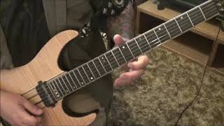 STEVE VAI - BUTLER'S BAG -  Guitar Lesson by Mike Gross - How to play - Tutorial