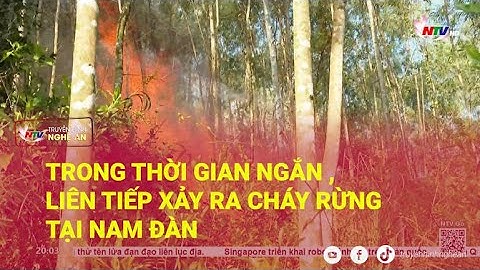 Trong thời gian ngắn , liên tiếp xảy ra cháy rừng tại Nam Đàn
