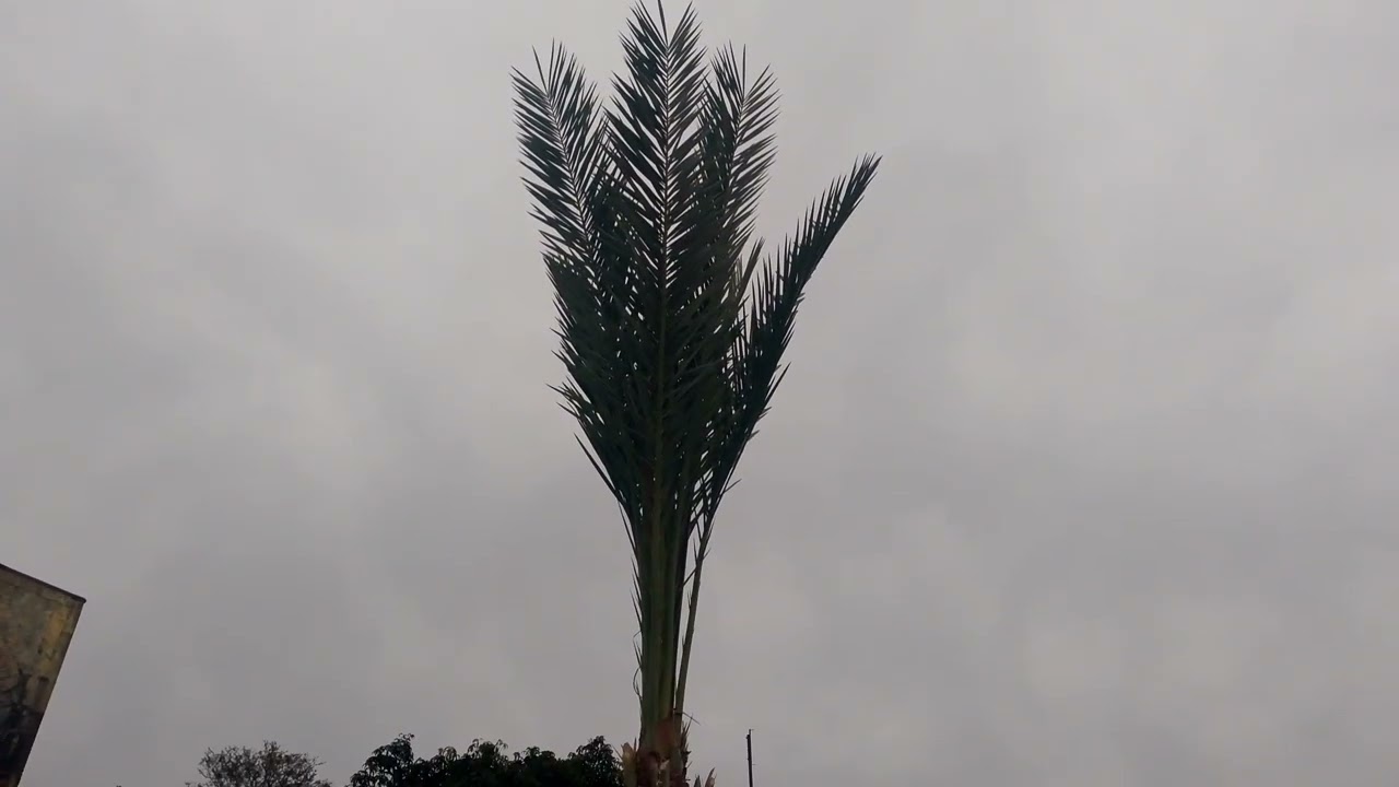 AJ ka  vlog choudhry Abdul ghani ka ghr.            @Kashmiri-n3se