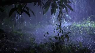 Night Thunderstorm ⛈ Heavy Rain On Grass ⛈ Rain In Forest Sounds For Sleep, Relax, Meditation, Heal