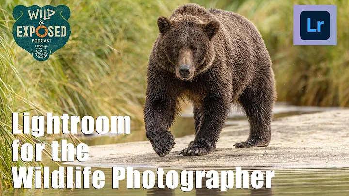 Lightroom Tools, Tricks and Tips for the Wildlife Photographer