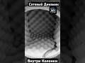 Сотовый Динамик #audio #hifi