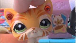 ☆LPS: ☆LPS:
