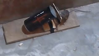 Mouse Trap Using Cans,Easy Mouse/Rat Trap,Amazing ideas Mouse Trap