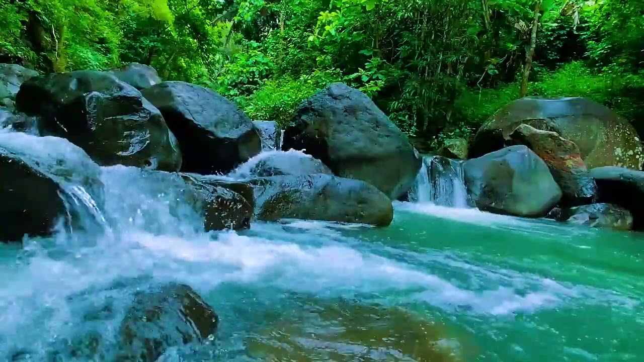 Flowing Water in the Forest, Sleep Meditation , Nature Soundscape for Deep Sleep