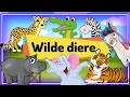 Wilde diere vir kleuters  #wildedieregeluide #tekenprent #Afrikaans