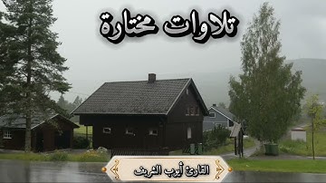 تلاوات متفرقة تلاوة الشيخ أيوب الشريف مدينة بنغازي | ليبيا