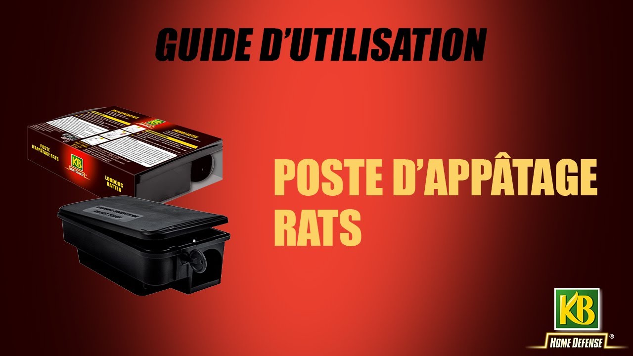 Appât Anti-Rats en Blocs 8 x 25 g, RASOFLOC - KB Home Defense