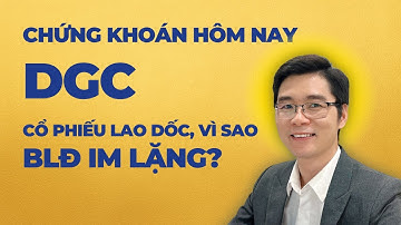 Cổ Phiếu DGC Giảm Sàn Kỷ Lục – Vì Sao Ban Lãnh Đạo Im Lặng? Kiều Canh