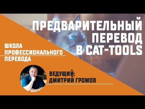 Предварительный перевод в CAT-инструментах. Общий обзор