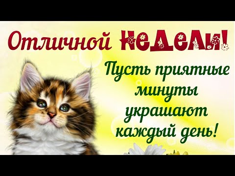 ПОЖЕЛАНИЕ ЛЁГКОЙ ТРУДОВОЙ НЕДЕЛИ🌼 ПУСТЬ КАЖДЫЙ ДЕНЬ ТОЛЬКО РАДУЕТ! ВИДЕО ОТКРЫТКА ОТЛИЧНОЙ НЕДЕЛЬКИ!