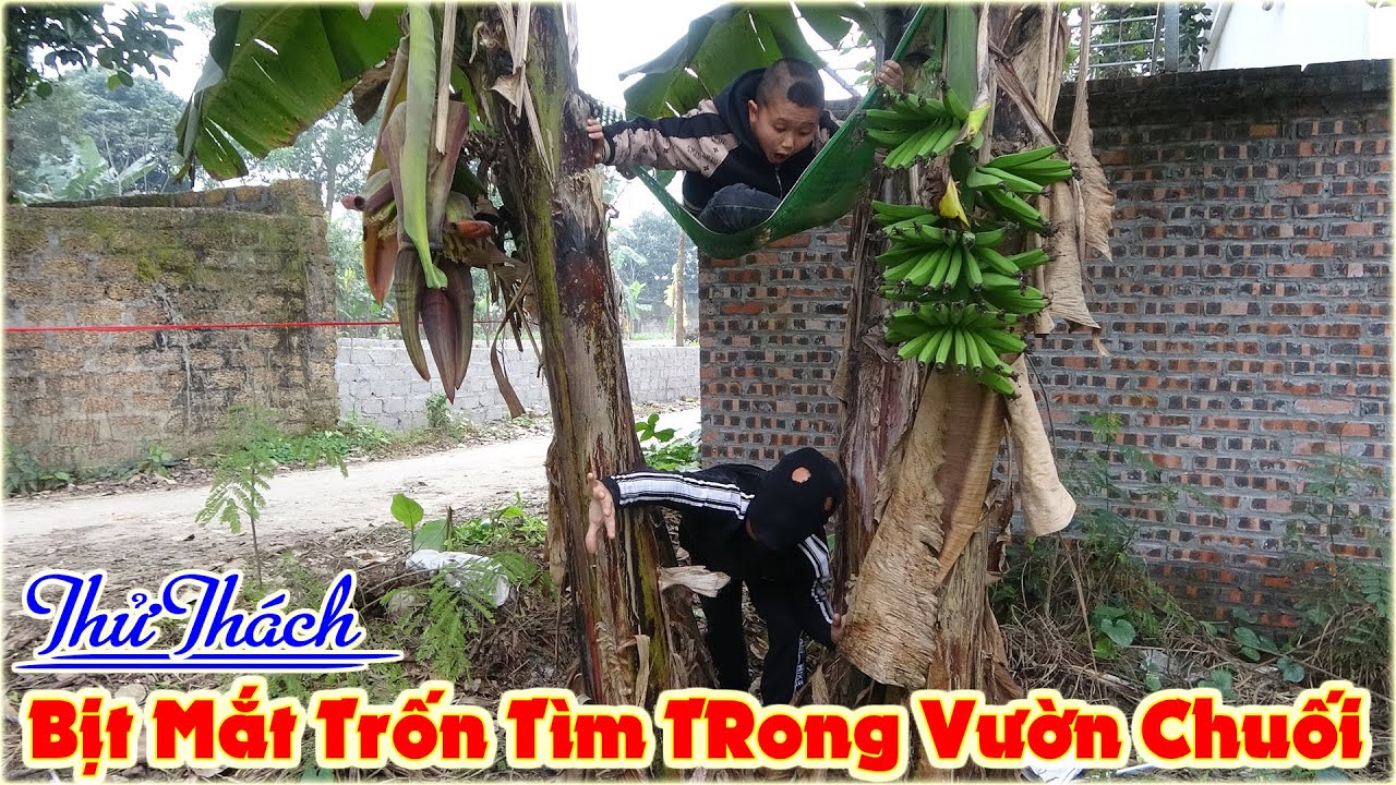 Người Cuối Cùng Bị Tìm Thấy Trong Vườn Chuối Dành Giải Thưởng 2tr