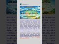 Use of AI in weather forecasting