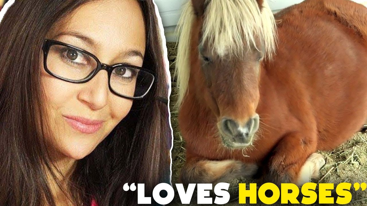 CookieSwirlC LOVES Horses... YouTube